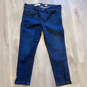 Pilcro & The Letterpress Stet crop jeans